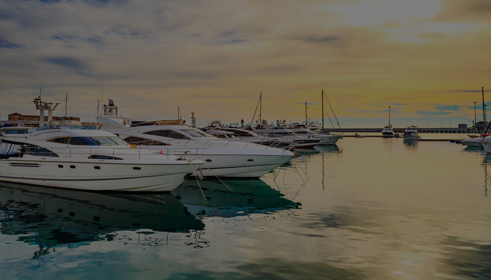 How Can I Use Lorem Ipsum Tool For My Website?