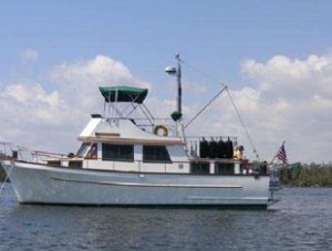 How Lorem Ipsum Can Be Used?