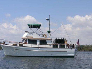 How Lorem Ipsum Can Be Used?